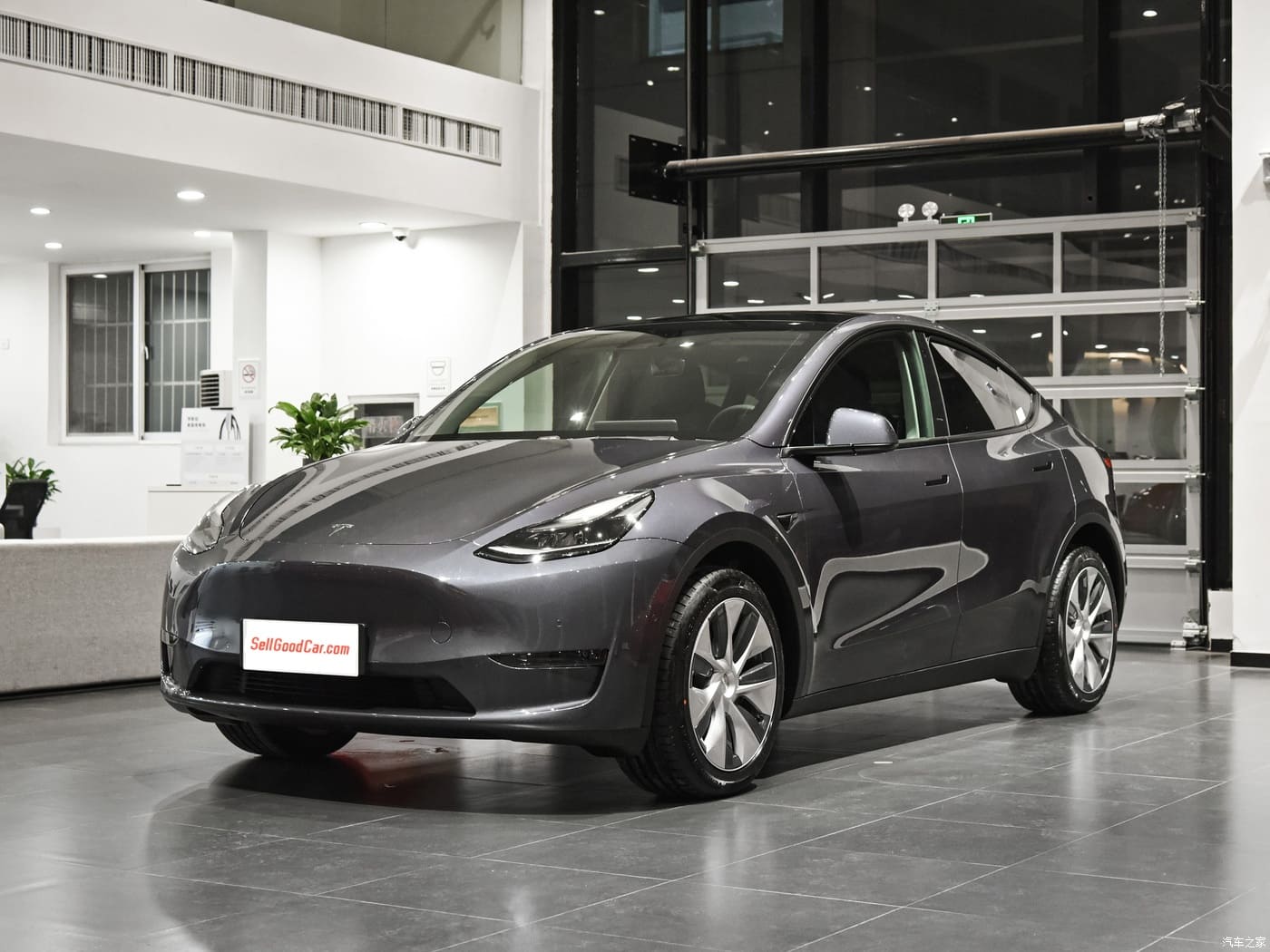 Tesla Model Y - SellGoodCar.Com