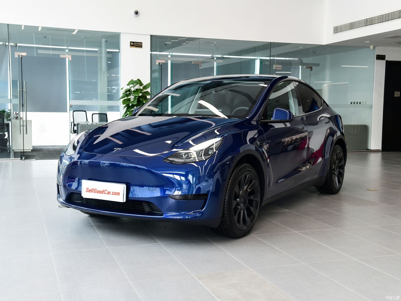 Tesla Model Y - SellGoodCar.Com